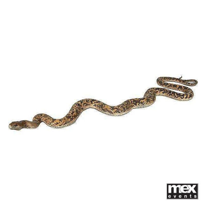 Life size pythons