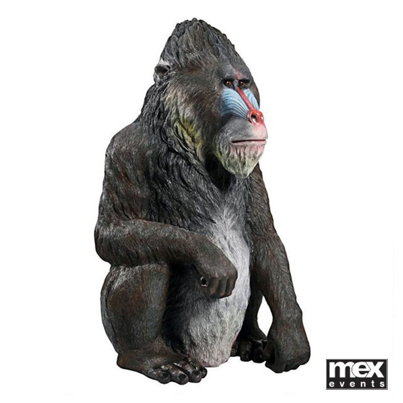 Mandrill Monkeys
