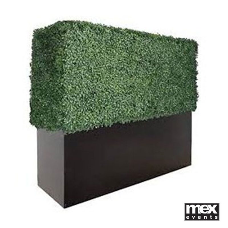 Artificial Box Hedging