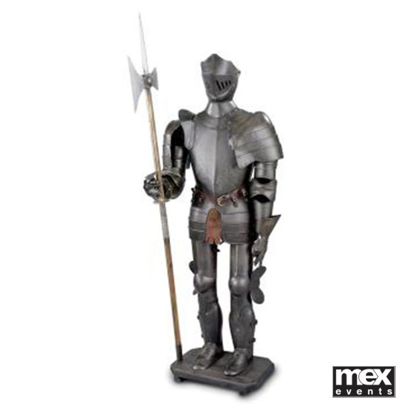 Knight in Armor