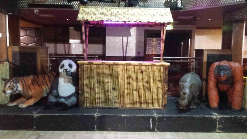 Panda Bear