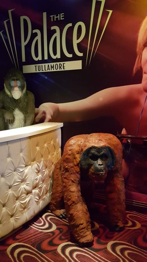 Orangutan