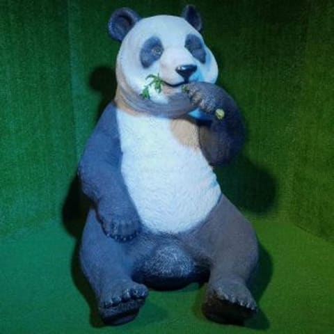 Panda Bear