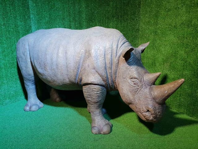 Baby Rhinos