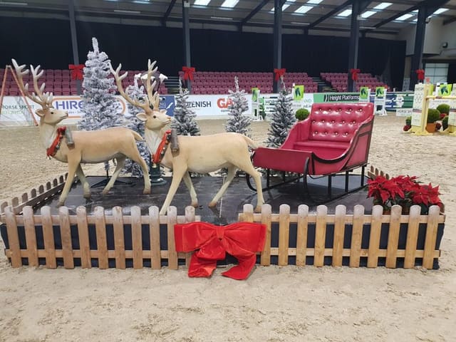 Large Sleigh