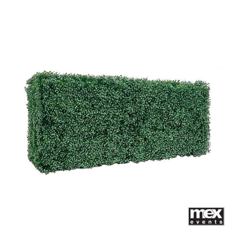 Artificial Box Hedging