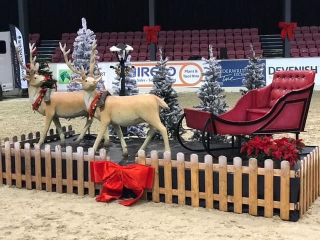 Large Sleigh