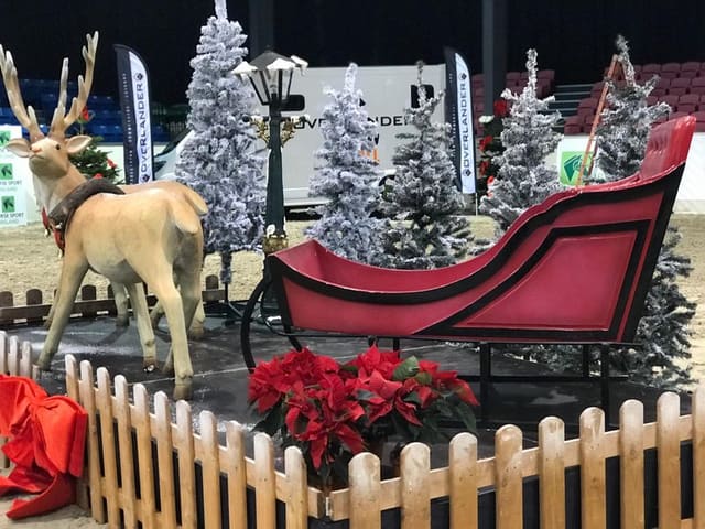 Large Sleigh