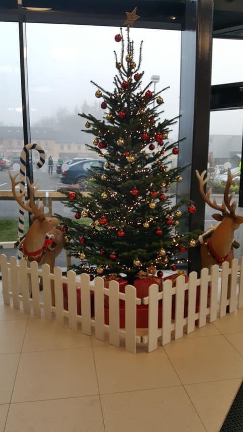 Christmas Trees