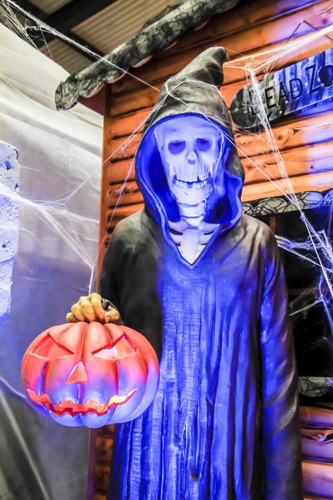 Pumpkin Skeletons