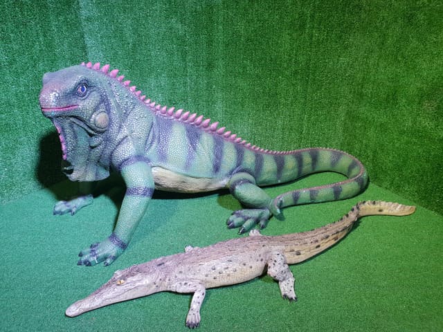 Life size Iguanas