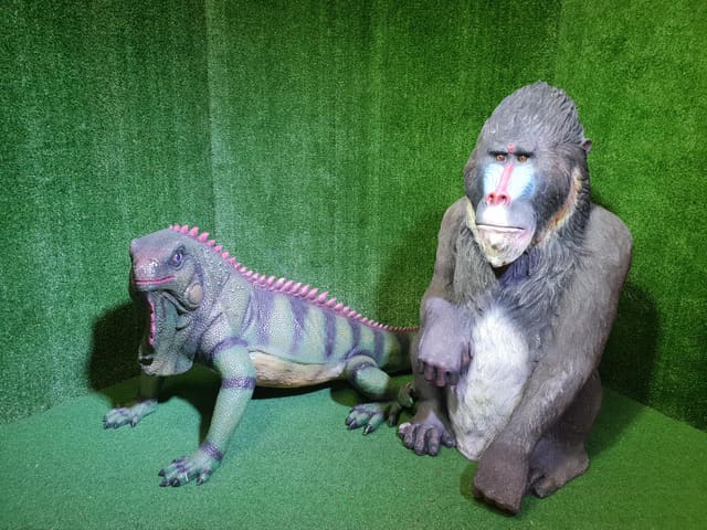 Life size Iguanas