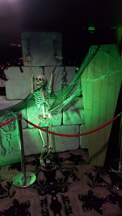 Life Size Skeletons
