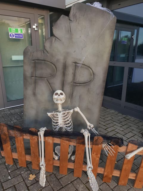 Life Size Skeletons