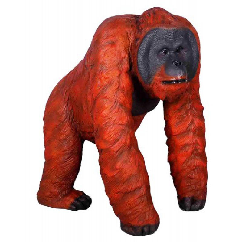 jelly cat orangutan